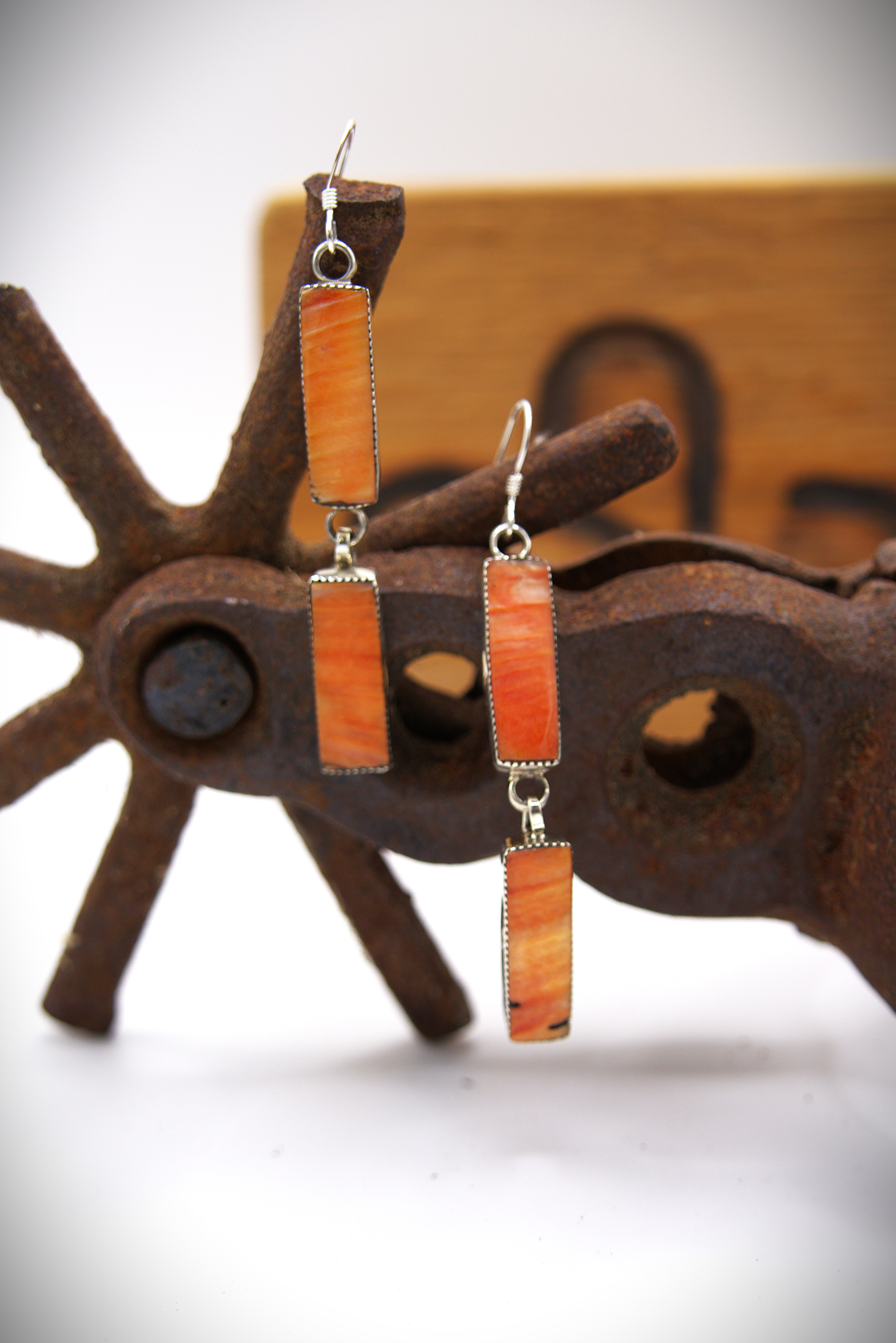 Double Bar Spiney Earrings