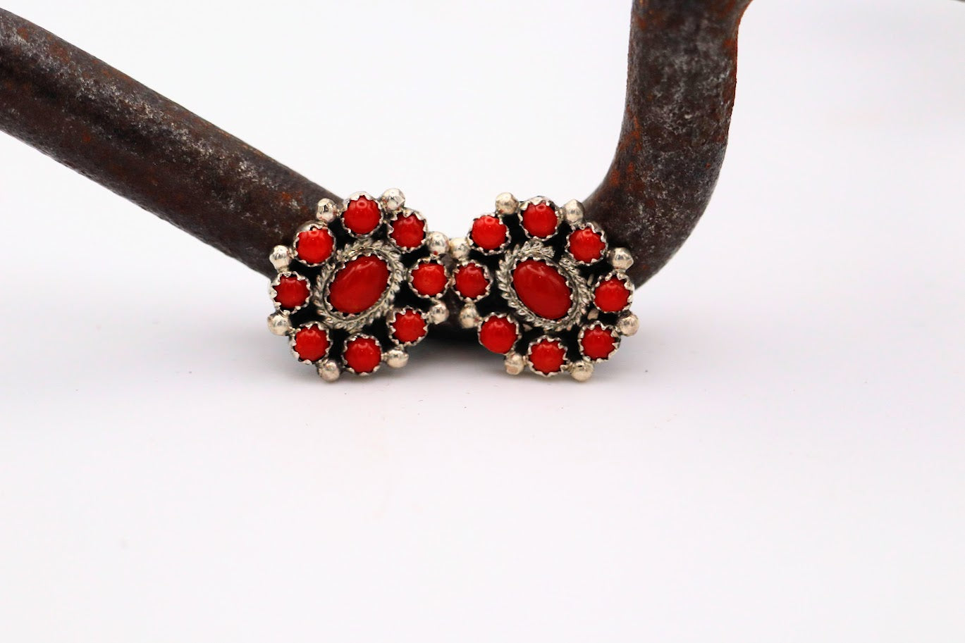 Coral Clusters