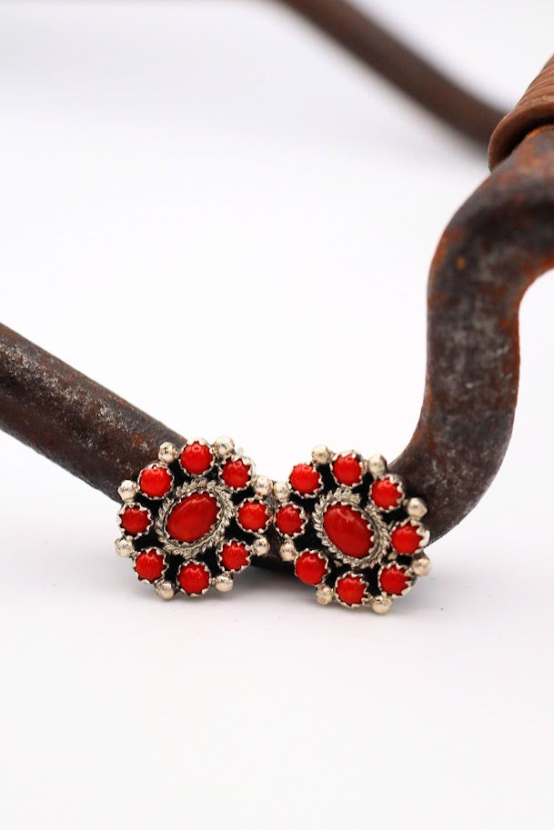 Coral Clusters